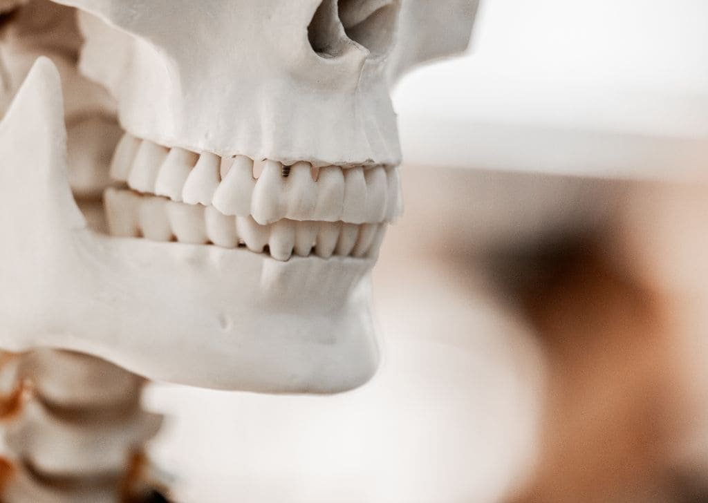 How Bone Health Affects Dental Implants