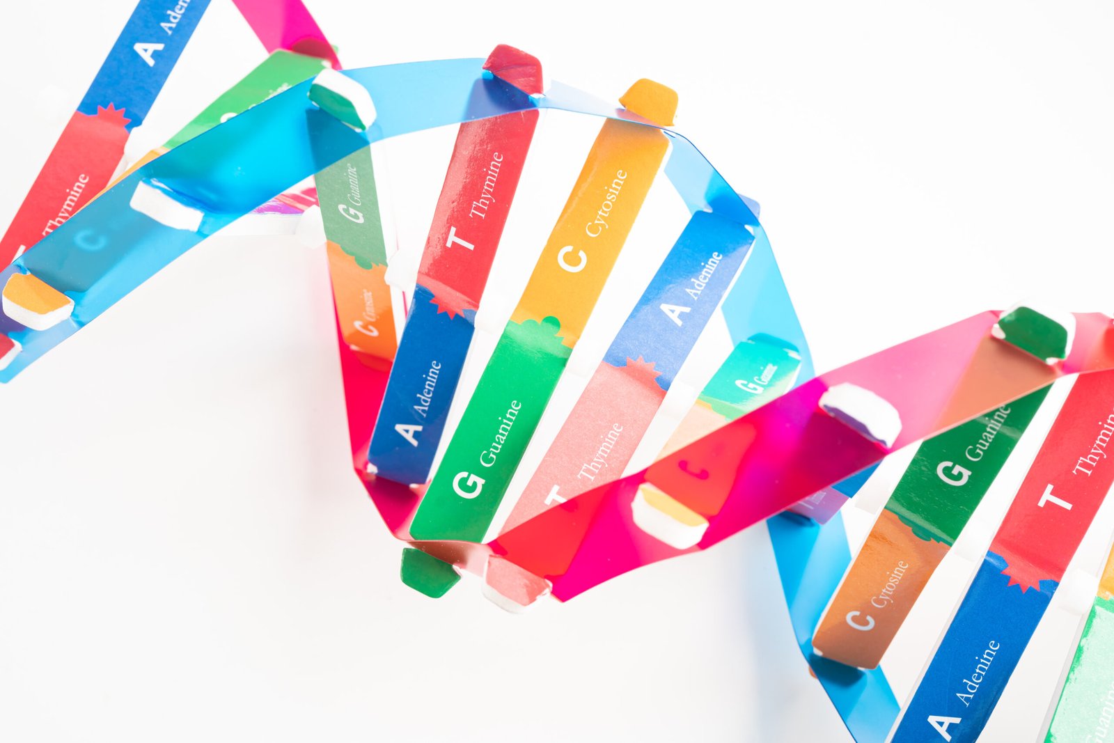 Tongue Tie Release in Seremban - Effective Treatment for All Ages 7 dna or deoxyribonucleic acid is a double helix cha 2026 01 08 22 36 35 utc scaled