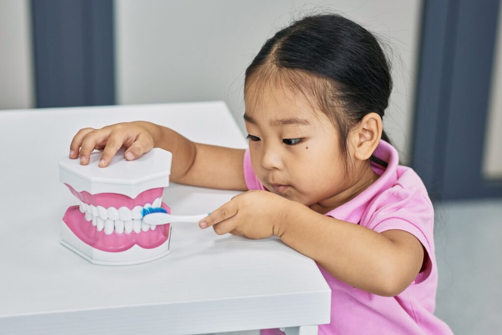 little girl playing by brushing a model teeth